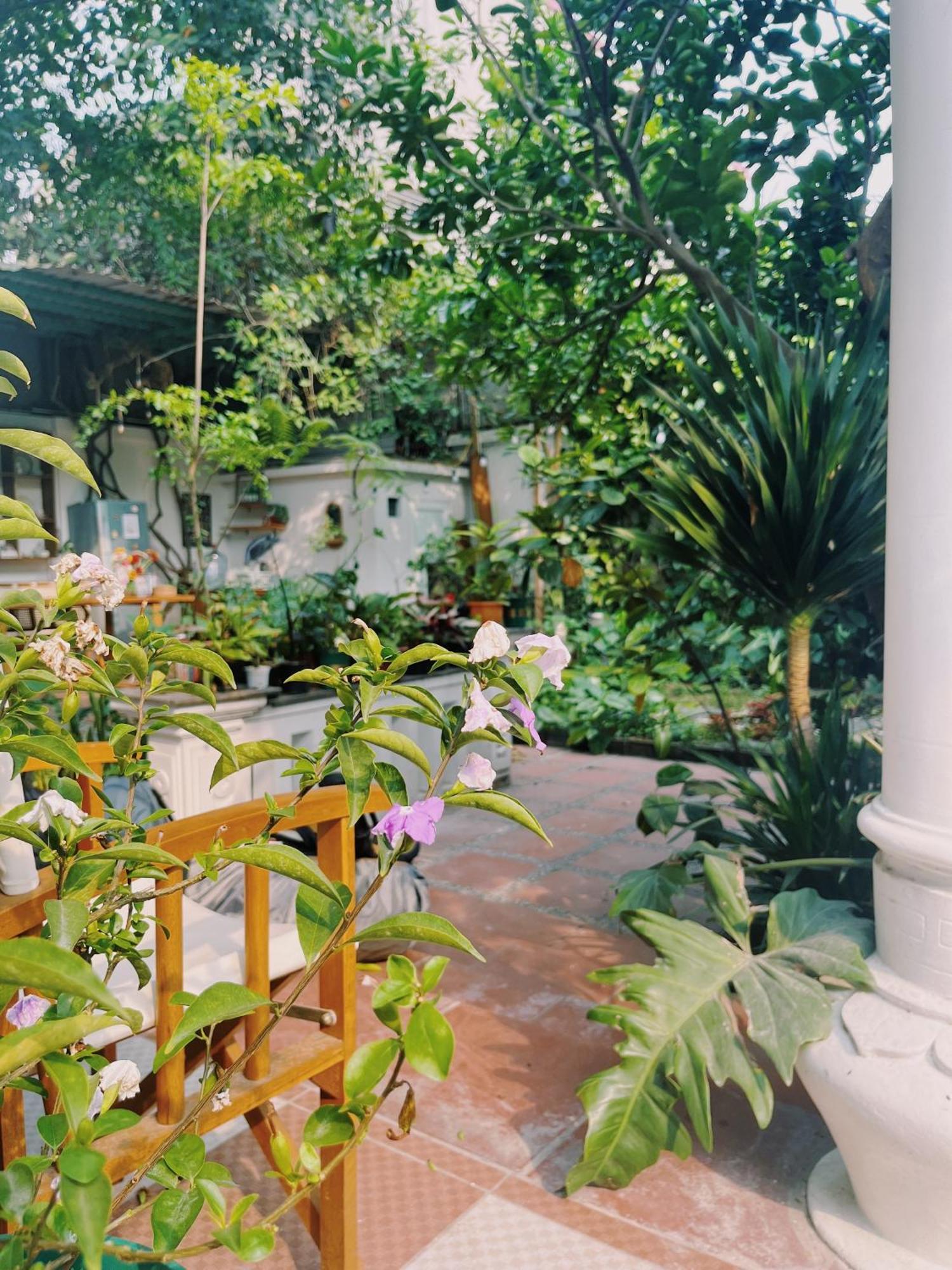 1.Home Hanoi Dış mekan fotoğraf
